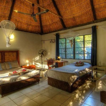 Okavango River Lodge Маун Экстерьер фото